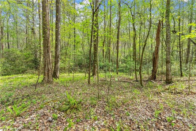 0 S Fern Cove Road, Sautee Nacoochee, GA 30571