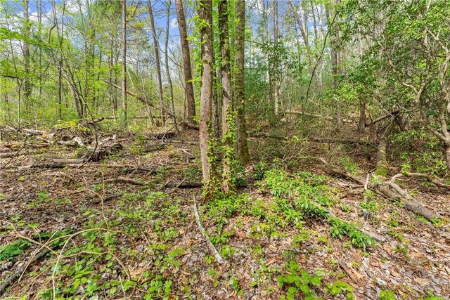 0 S Fern Cove Road, Sautee Nacoochee, GA 30571