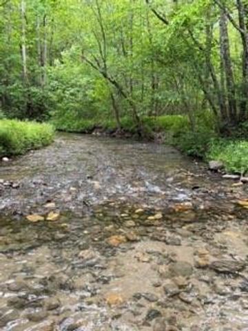 0 S Fern Cove Road, Sautee Nacoochee, GA 30571