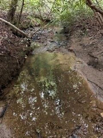 0 S Fern Cove Road, Sautee Nacoochee, GA 30571