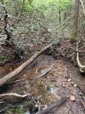 0 S Fern Cove Road, Sautee Nacoochee, GA 30571