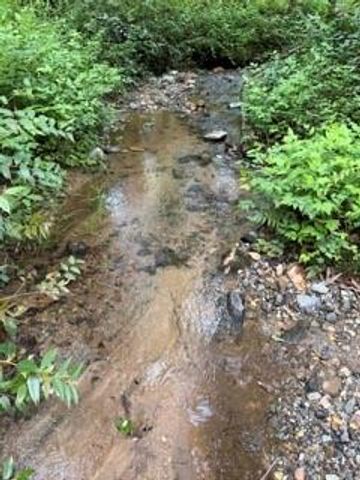 0 S Fern Cove Road, Sautee Nacoochee, GA 30571
