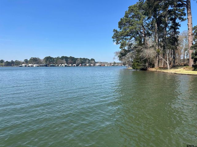 157 Lago Vista, Jacksonville, TX 75766