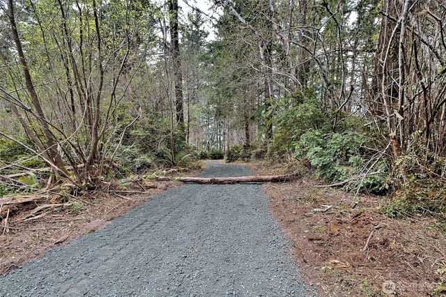 101 E Peale Drive, Shelton, WA 98584