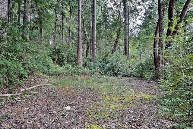 101 E Peale Drive, Shelton, WA 98584