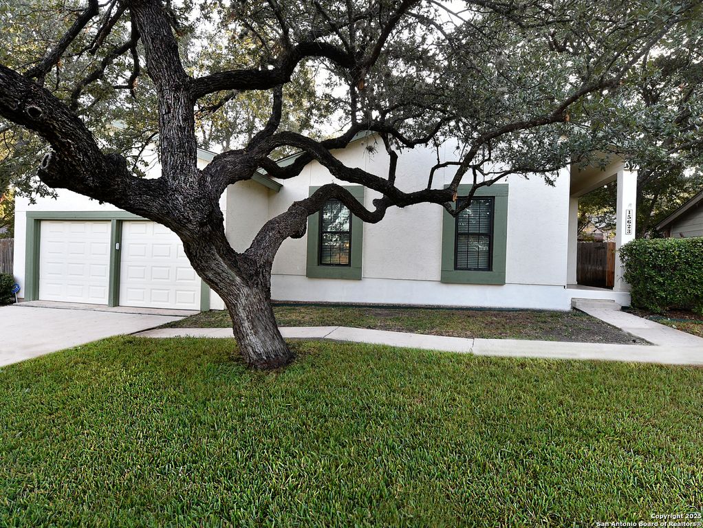 15623 Boulder Creek St, San Antonio, TX 78247