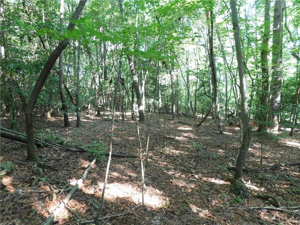 00 Chester Road, Dahlonega, GA 30533