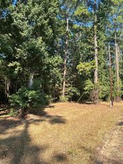 606162 Grand Pine Circle, Livingston, TX 77351