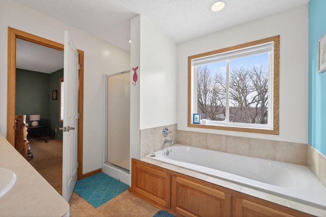 17585 218th Avenue NW, Big Lake, MN 55309