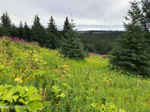 62409 Crossman Ridge Road, Homer, AK 99603