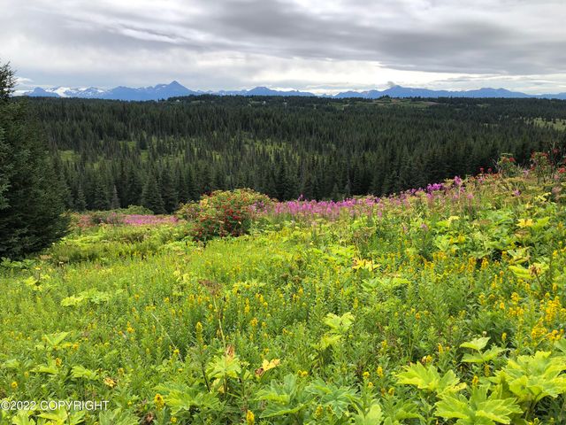62409 Crossman Ridge Road, Homer, AK 99603