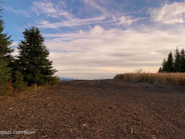 62409 Crossman Ridge Road, Homer, AK 99603