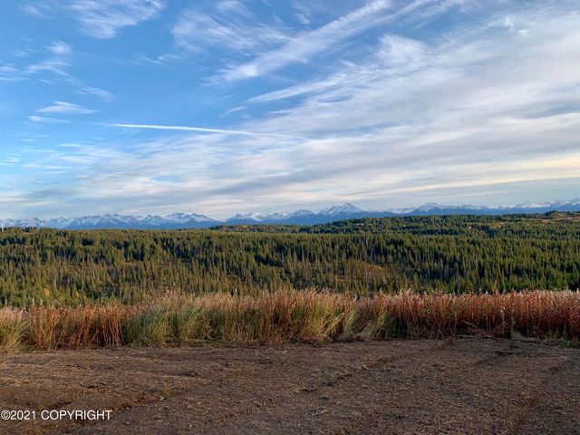 62409 Crossman Ridge Road, Homer, AK 99603