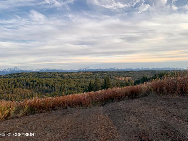 62409 Crossman Ridge Road, Homer, AK 99603