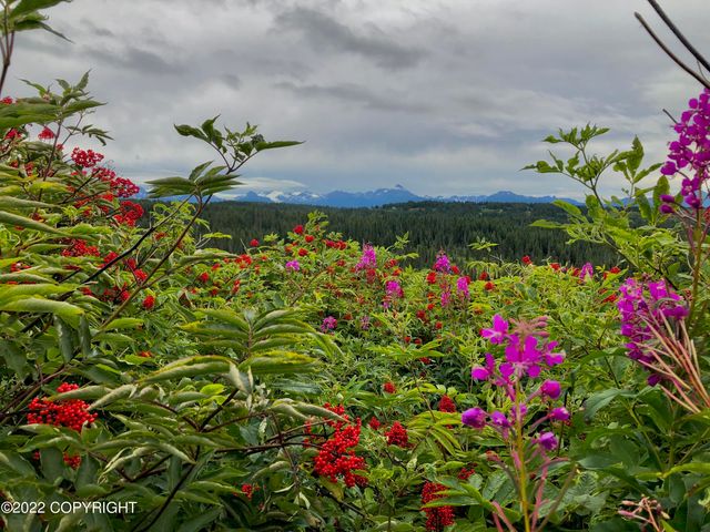 62409 Crossman Ridge Road, Homer, AK 99603