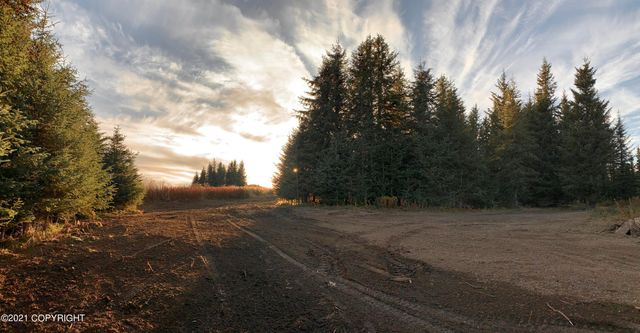 62409 Crossman Ridge Road, Homer, AK 99603