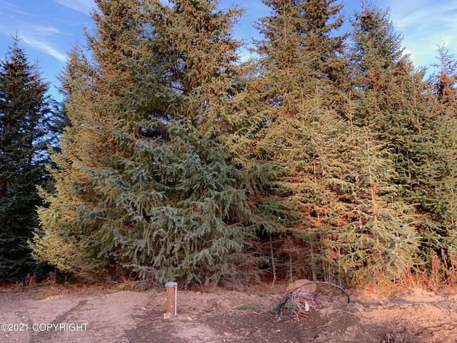 62409 Crossman Ridge Road, Homer, AK 99603