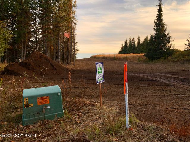 62409 Crossman Ridge Road, Homer, AK 99603