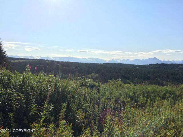 62409 Crossman Ridge Road, Homer, AK 99603