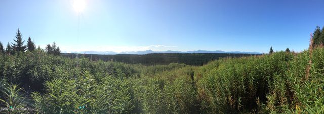 62409 Crossman Ridge Road, Homer, AK 99603
