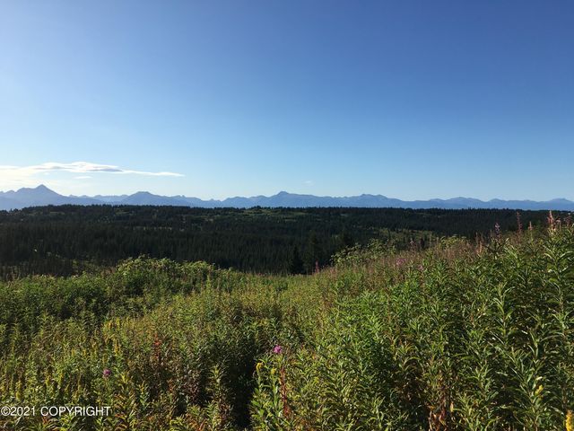 62409 Crossman Ridge Road, Homer, AK 99603
