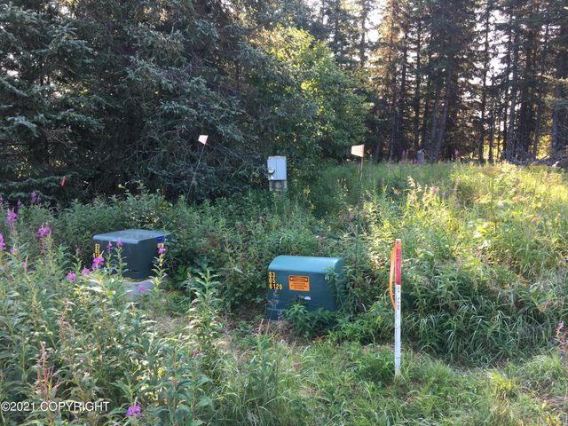 62409 Crossman Ridge Road, Homer, AK 99603