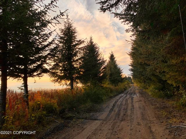 62409 Crossman Ridge Road, Homer, AK 99603
