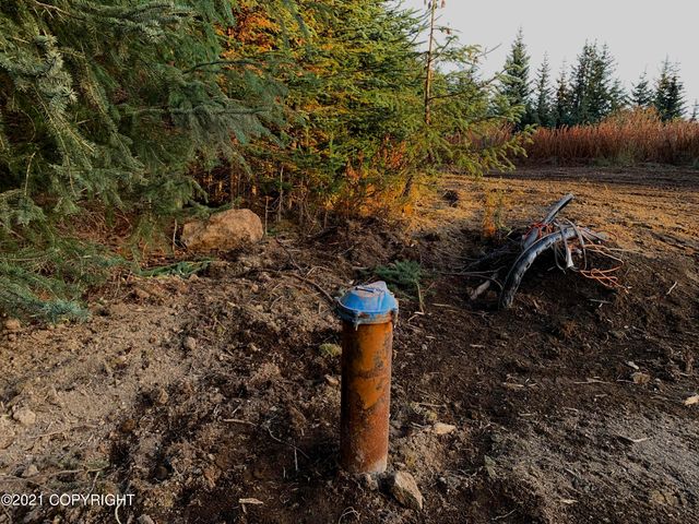 62409 Crossman Ridge Road, Homer, AK 99603