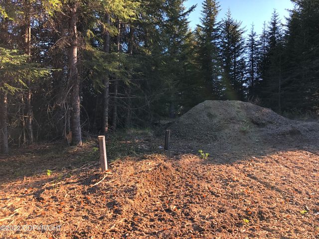 62409 Crossman Ridge Road, Homer, AK 99603