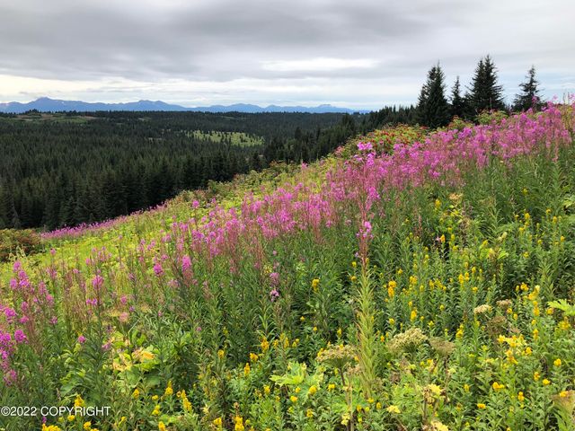 62409 Crossman Ridge Road, Homer, AK 99603
