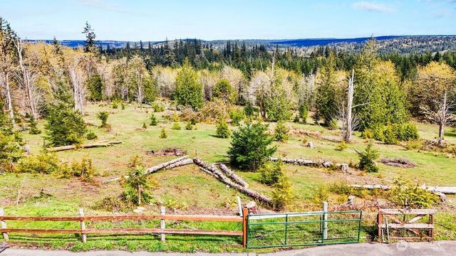 542 Doe Run Road, Quilcene, WA 98376