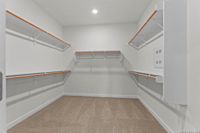 420 Salamander, San Marcos, TX 78666