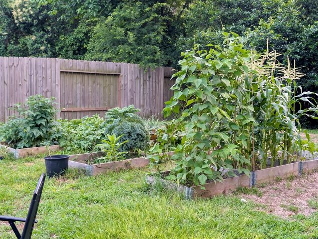 14951 Colt Lane, Willis, TX 77378