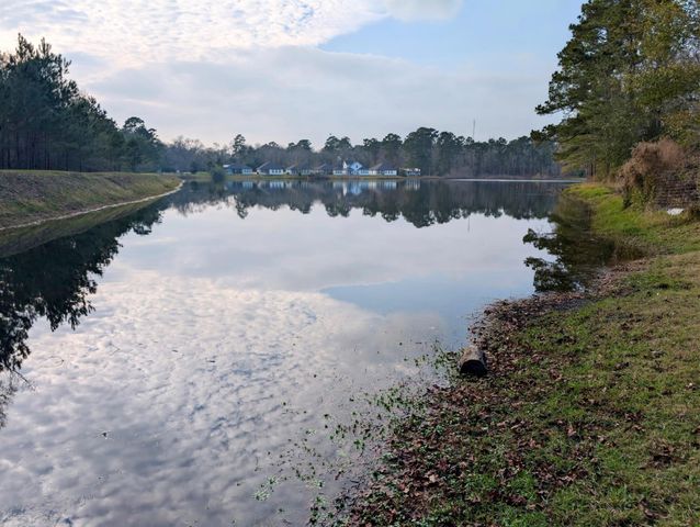 14951 Colt Lane, Willis, TX 77378