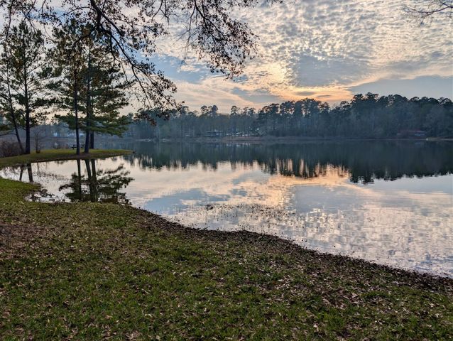 14951 Colt Lane, Willis, TX 77378