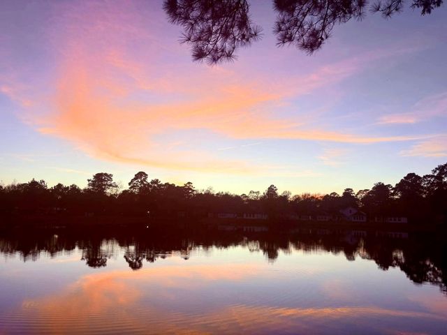 14951 Colt Lane, Willis, TX 77378