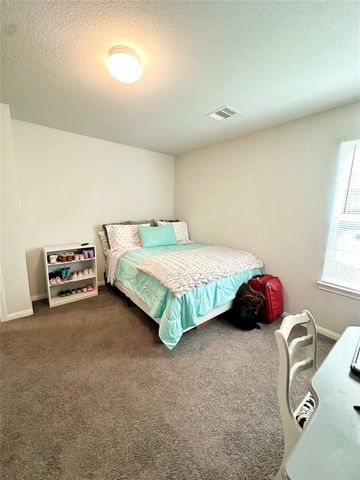 14951 Colt Lane, Willis, TX 77378