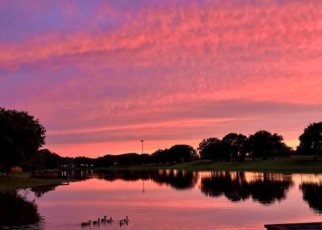 18 Crest Gate, Houston, TX 77082