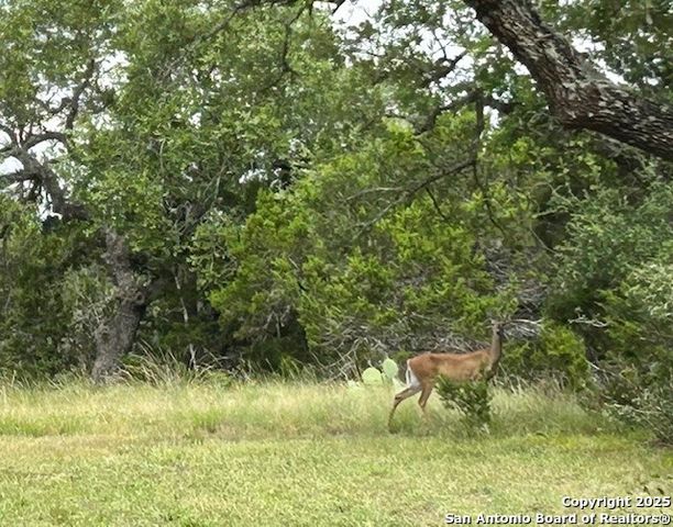 935 Spring Branch Rd., Spring Branch, TX 78070