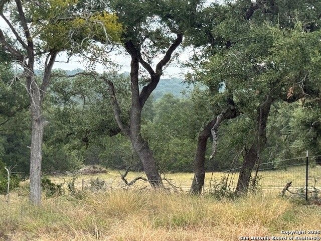 935 Spring Branch Rd., Spring Branch, TX 78070