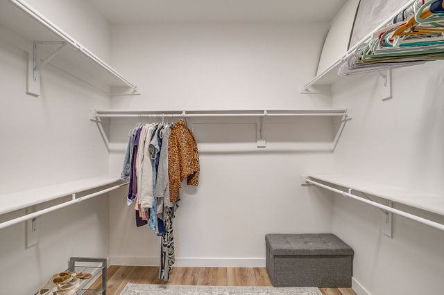 3690 White Clover Lane, Prosper, TX 75078