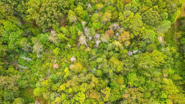 0 Roses Mill Rd, Amherst, VA 24521