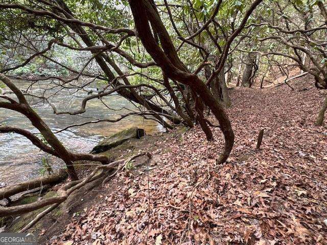0 Horseshoe Bend Road, Dahlonega, GA 30533
