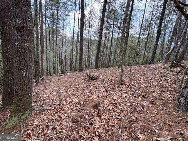 0 Horseshoe Bend Road, Dahlonega, GA 30533