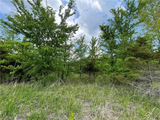 Posy Mountain Drive, Garfield, AR 72732