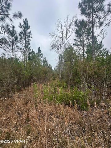 00 FL-71, Blountstown, FL 32424