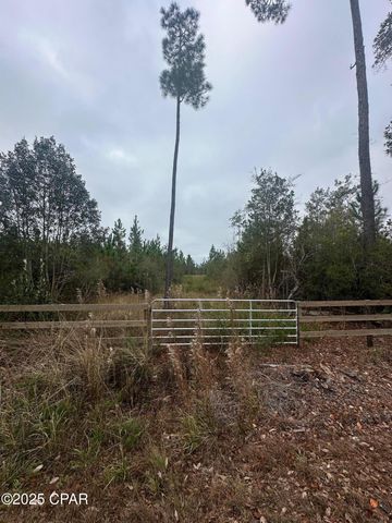 00 FL-71, Blountstown, FL 32424