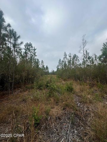 00 FL-71, Blountstown, FL 32424
