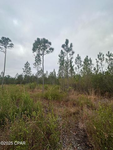 00 FL-71, Blountstown, FL 32424