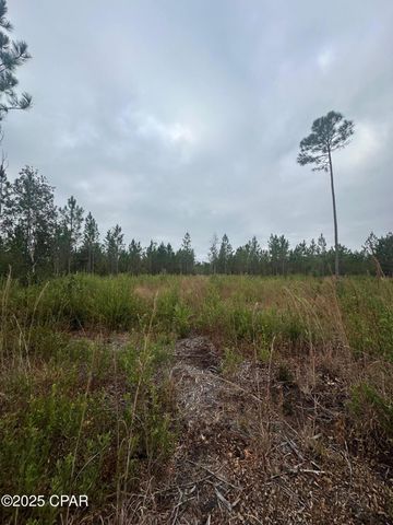 00 FL-71, Blountstown, FL 32424